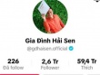Vì sao chủ kênh TikTok 'Gia đình Hải Sen' bị bắt?