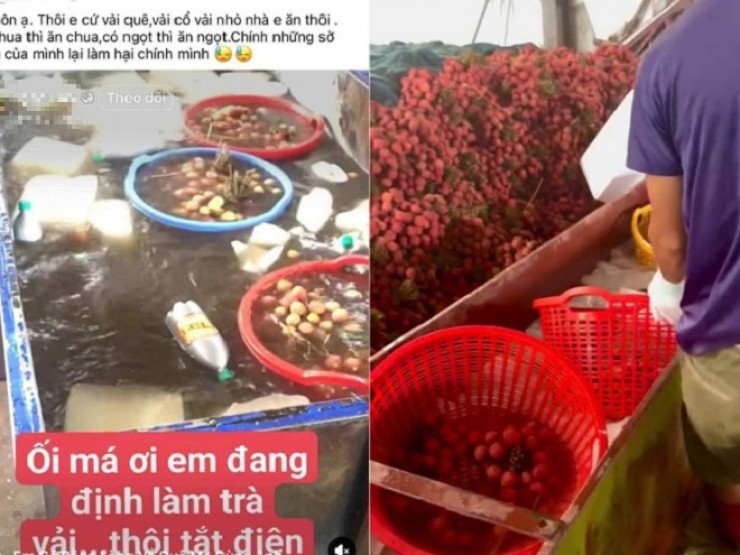 Thực hư thông tin quả vải ngâm thuốc, ngâm hoá chất để tươi lâu