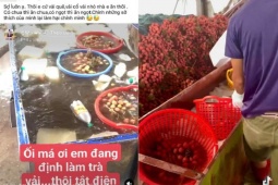 Thực hư thông tin quả vải ngâm thuốc, ngâm hoá chất để tươi lâu