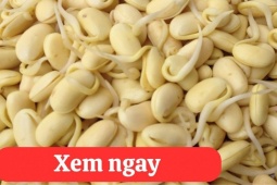 Tin tức sức khỏe - “Tái sinh” khớp gối với 2 món ăn được người xưa ví là “thần dược” phục hồi xương khớp 