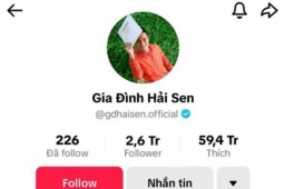 Vì sao chủ kênh TikTok ' Gia đình Hải Sen ' bị bắt?
