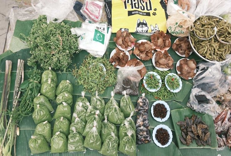 Thành phố nghìn tuổi ở Thái Lan trong mắt khách Việt - 16