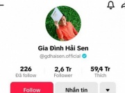Vì sao chủ kênh TikTok 'Gia đình Hải Sen' bị bắt?
