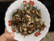 Đặc sản chui ra từ đất, đêm soi đèn 1 tiếng bắt được vài kg, nấu canh mát rượi