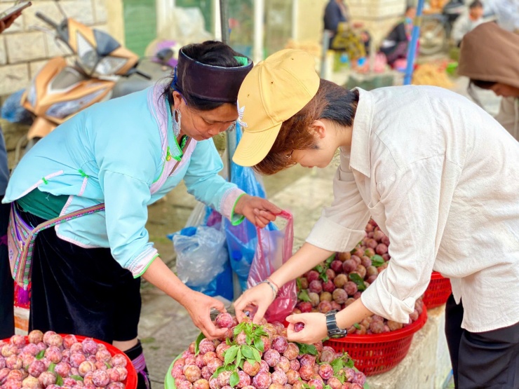 Mận hậu được nhiều người tiêu dùng ưa chuộng vì có vị giòn, chua, ngọt đặc trưng.