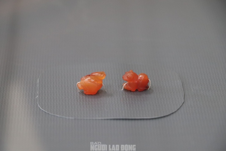 Năm 2.000, khu mộ táng Lai Nghi được phát hiện ở phường Điện Nam Đông, thị xã Điện Bàn. Từ năm 2002-2004, cơ quan chức năng khai quật trên diện tích gần 200 m2, phát hiện 63 mộ chum, 4 mộ đất và một số cụm gốm, với 10.423 tiêu bản. Sau 10 năm lưu giữ ở bảo tàng, tháng 9-2024, UBND tỉnh Quảng Nam trình Thủ tướng công nhận hai bảo vật quốc gia là bộ sưu tập trang sức vàng có 108 hiện vật và mã não hình hổ, chim nước Lai Nghi. Tháng 12-2024, Thủ tướng công nhận hai bảo vật quốc gia là bộ trang sức vàng Lai Nghi và hạt mã não hình thú Lai Nghi.