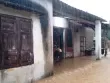 Bão số 1 đặc biệt, bất thường và cực đoan