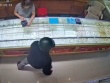 Kẻ cướp giật tiệm vàng ở huyện Lâm Hà bị bắt khi vừa xuống máy bay