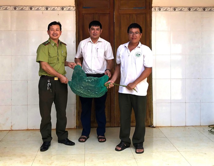 Con trăn gấm quý hiếm bò vào nhà được người dân bắt giữ bàn giao cho cơ quan chức năng