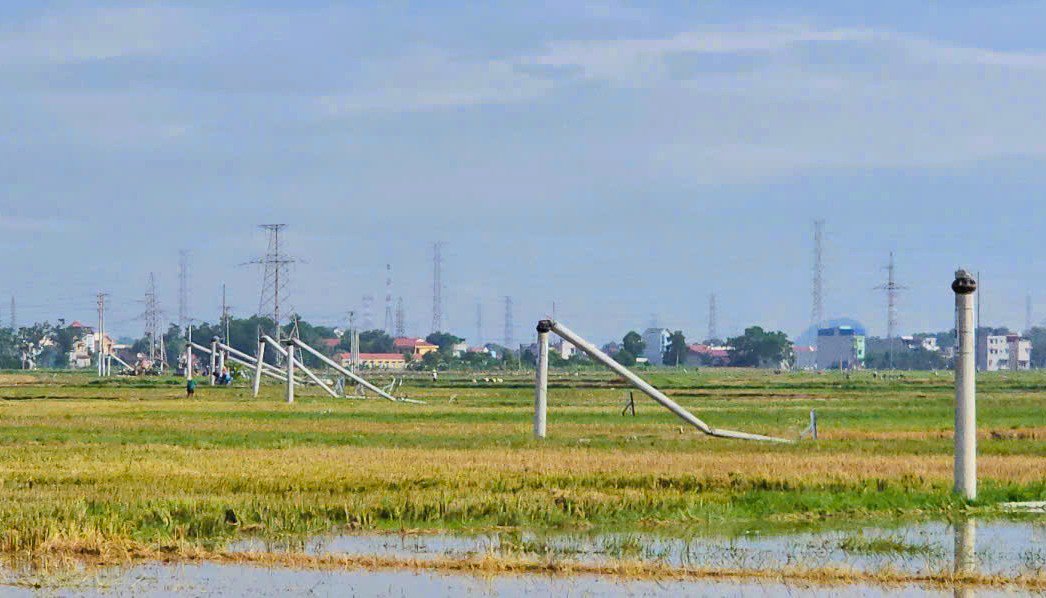 Cột điện đường dây 22 kV gãy đổ như "ngả rạ" sau mưa dông ở Thanh Hóa - 3