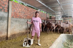 9x Nghệ An nghỉ việc về quê nuôi con hiền lành, thu nhập lên đến cả tỷ đồng/năm