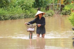 Bão số 1 đặc biệt, bất thường và cực đoan