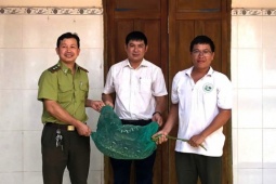 Trăn gấm quý hiếm nặng 21kg bò vào nhà dân trong đêm