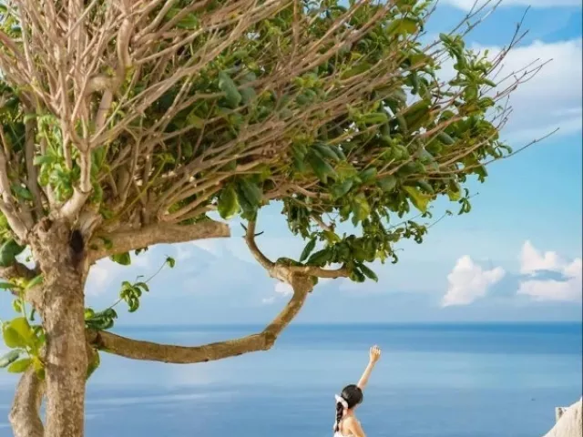 Hè này khám phá Bích Đầm, nên đi tour hay tự túc?