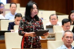 Đại biểu truy trách nhiệm vấn nạn thực phẩm giả, thuốc giả, Bộ trưởng Bộ Y tế nói gì?