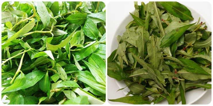 Loại rau có vị cay nhẹ nhưng là khắc tinh của đầy hơi, lạnh bụng, đặc biệt tốt cho người rối loạn tiêu hóa - 1