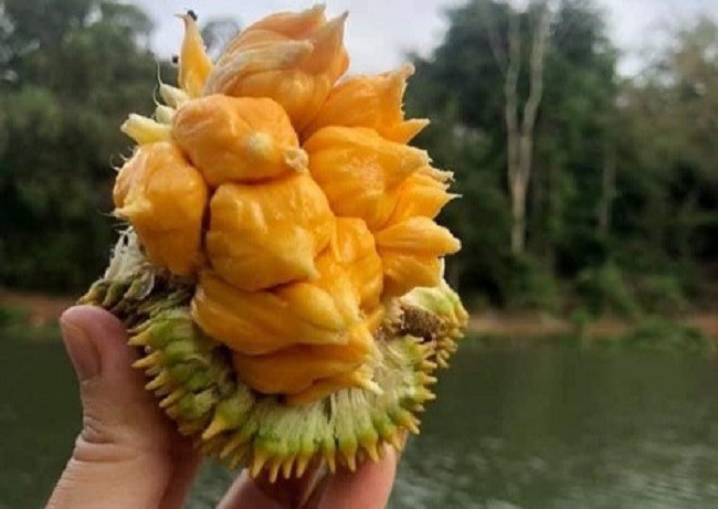 Có người bán theo cân, có người bán quả, đa số khách mua vì tò mò.
