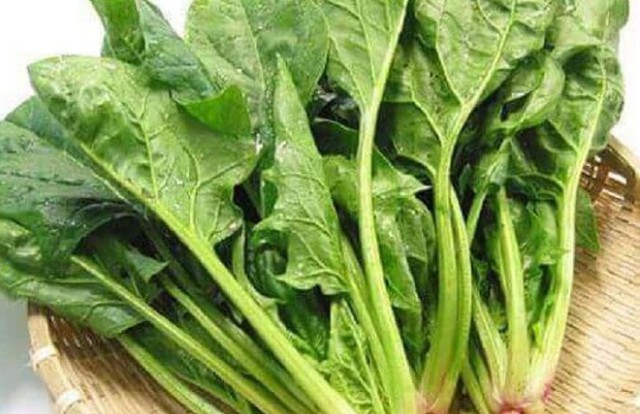 Ăn cải bó xôi để không bị khô da do thiếu nước.