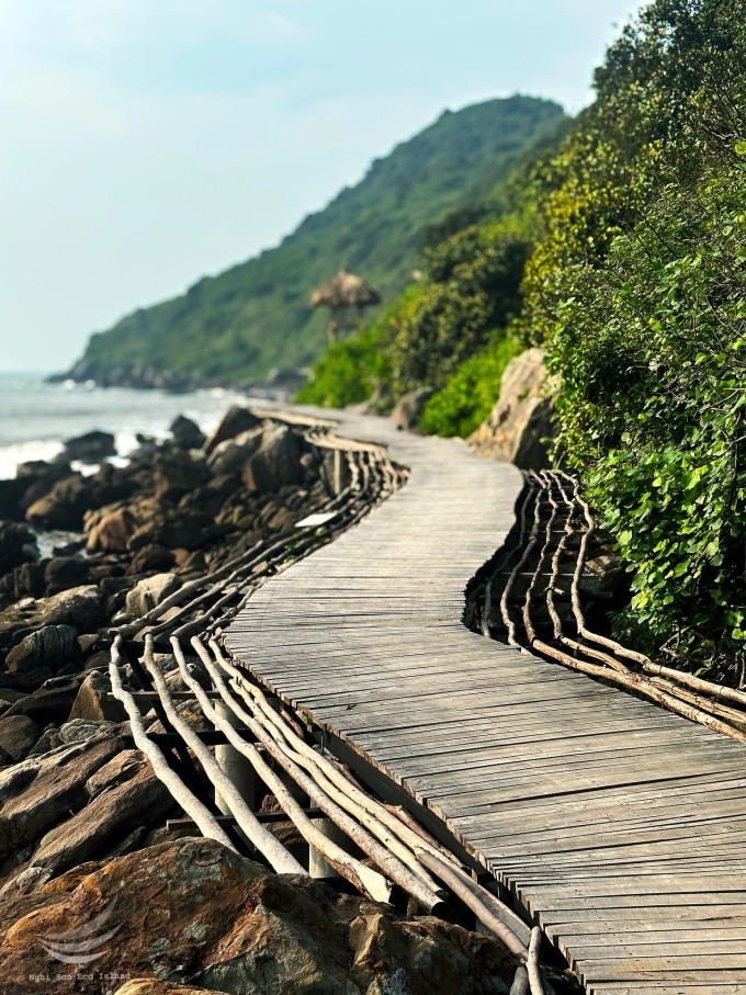 Bãi biển hoang sơ chưa nhiều người biết ở Thanh Hóa - 8