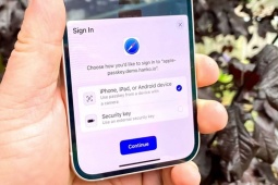 Facebook trên iPhone/iPad có tính năng cho người  " não cá vàng " 