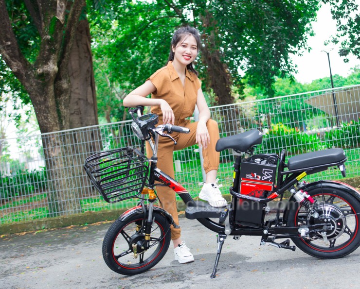 Giá xe đạp điện Vnbike mới nhất nửa cuối tháng 6/2025 - 3