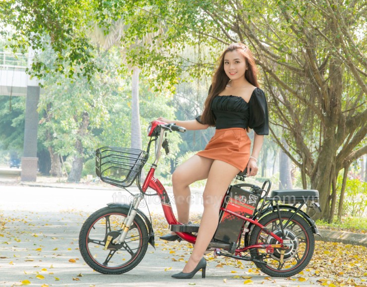 Giá xe đạp điện Vnbike mới nhất nửa cuối tháng 6/2025 - 2
