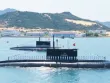 Đại tướng Phan Văn Giang: Hải quân và nhiều lực lượng sẽ diễu binh trên biển