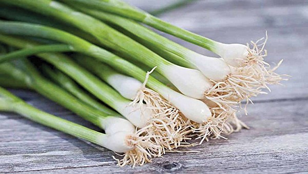 Gia vị &#39;quốc dân&#39; có mặt trong hầu hết các món ăn Việt, lại là &#39;lá chắn&#39; tự nhiên bảo vệ phổi và đường hô hấp - 1