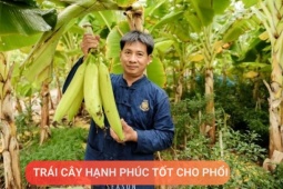 Tin tức sức khỏe - Loại quả được mệnh danh là “trái cây hạnh phúc”, rất giàu dinh dưỡng cho phổi, nhưng thường bị người Việt bỏ qua