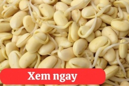 Tin tức sức khỏe - “Tái sinh” khớp gối với 2 món ăn được người xưa ví là “thần dược” phục hồi xương khớp 