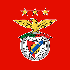 Trực tiếp bóng đá Benfica - Auckland City: Trận đấu tạm hoãn (FIFA Club World Cup) - 1
