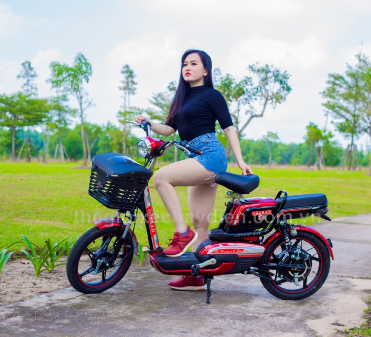 Giá xe đạp điện Osakar cuối tháng 6/2025, rẻ nhất từ 10,4 triệu đồng - 3