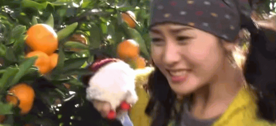 "Nữ hoàng dao kéo" Lee Da Hae ngỡ flop mà hot không tưởng: Diện đồ 20 năm trước làm náo loạn cả Thượng Hải! - 1