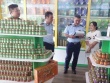 Ông chủ của hơn 23.400 lọ yến chưng giả tại Phú Thọ là ai?