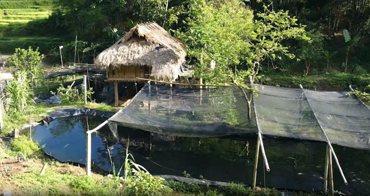 Một trong các điểm nuôi cá tầm. Ảnh: CTV