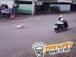 Phẫn nộ cảnh mẹ bỏ con 18 tháng tuổi giữa đường đông xe cộ