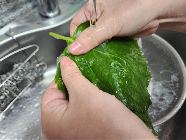 Loại rau sống ăn kèm bún thịt nướng lại có tác dụng hỗ trợ ngừa ung thư ruột kết – bạn có đang bỏ lỡ? - 3