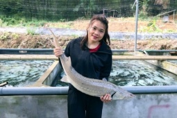 Cô gái Mường thu tiền tỷ nhờ nuôi cá  quý tộc  trên đỉnh núi