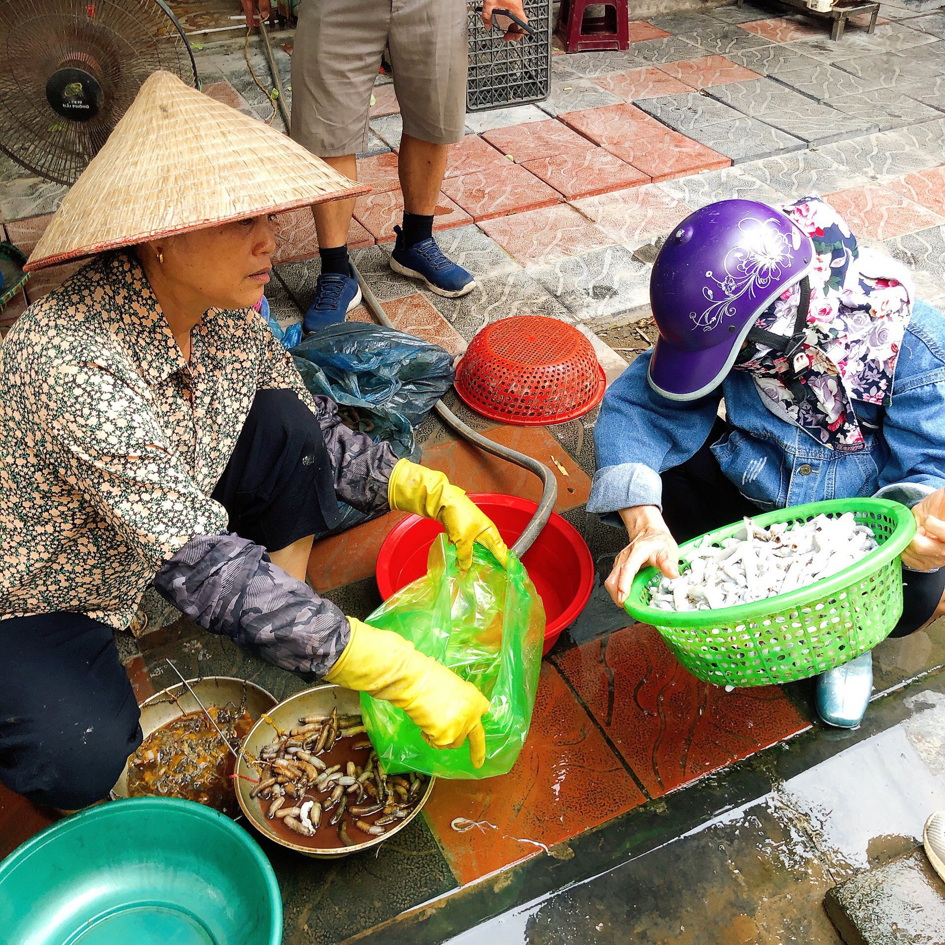 Đặc sản &#39;dưới bùn&#39; ở Quảng Ninh nhìn kỳ dị, xào su hào ăn ngọt, ngon - 4