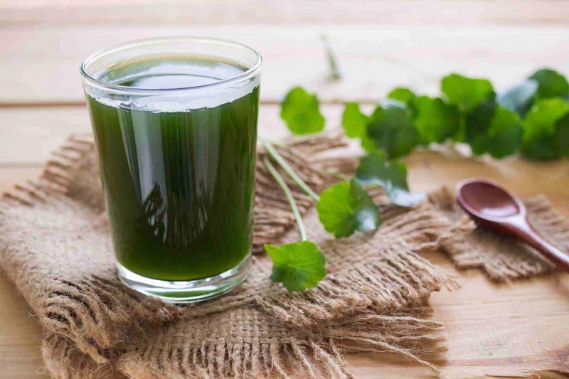 Hiện tại, chỉ hái rau má rồi xay nước để bán, anh Hùng cũng có thu nhập cả triệu đồng mỗi ngày.