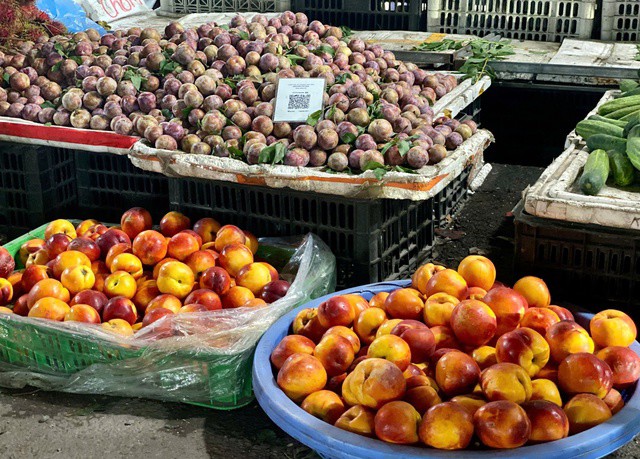 Tại các chợ dân sinh giá đào trơn dao động từ 20.000 - 50.000 đồng/kg (tùy chất lượng).