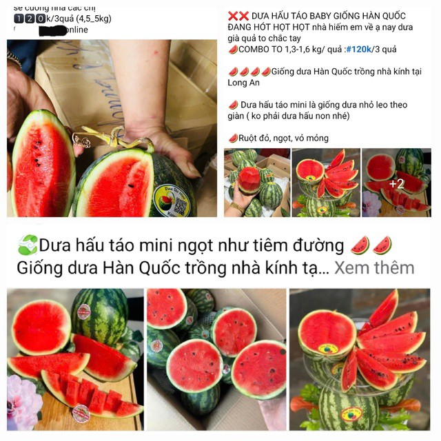 Dưa hấu táo mini được nhiều người rao bán trên mạng xã hội. Ảnh chụp màn hình.