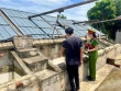Công an Thanh Hóa xác minh vụ hàng nghìn nước mắm bị vứt bỏ bên đường
