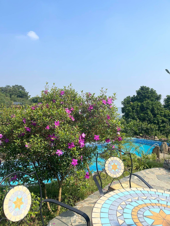 Nam NSƯT ẩn mình trong nhà vườn 10.000m2, U60 vẫn hy vọng tìm thấy tình yêu mới - 4