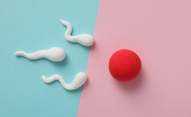 Cơ chế thần kinh kiểm soát xuất tinh, trong đó serotonin đóng vai trò trung tâm.&nbsp;