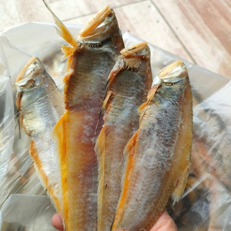 Vài năm gần đây, cá lẹp lên đời thành đặc sản ở thành phố, chế biến thành đủ món ngon như cá lẹp nướng, cá lẹp kho, cá lẹp chiên giòn.&nbsp;

