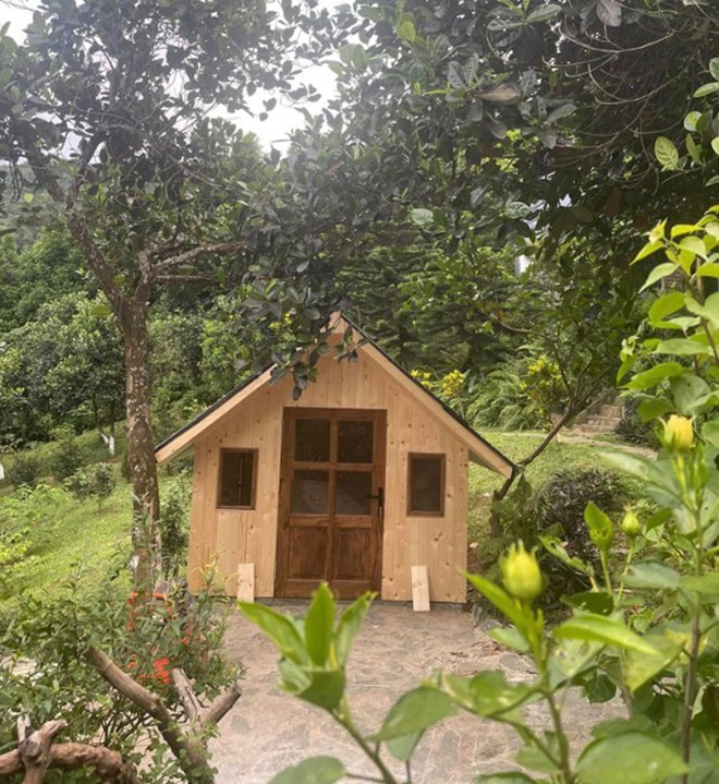 Nam NSƯT ẩn mình trong nhà vườn 10.000m2, U60 vẫn hy vọng tìm thấy tình yêu mới - 6