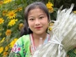 TikToker Việt lao đao