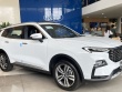 Ford Territory giảm giá bán tiêu chuẩn rẻ ngang xe hạng B