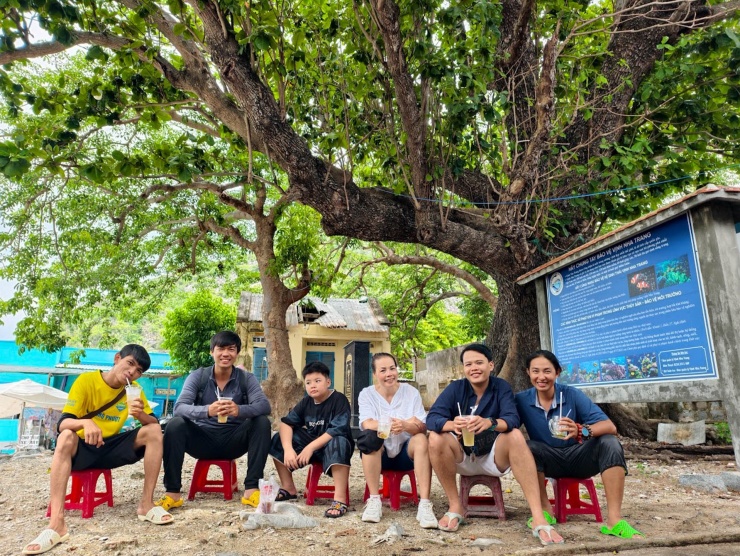 Cây bàng là "tài sản" đặc biệt của hòn đảo. Ảnh: Thiều Sang